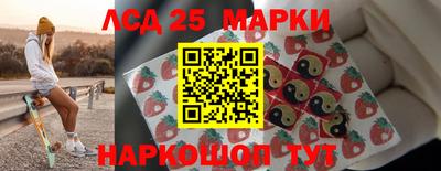 spice Сланцы