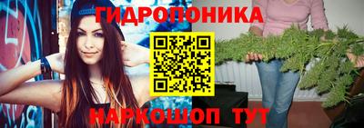 apvp Славгород