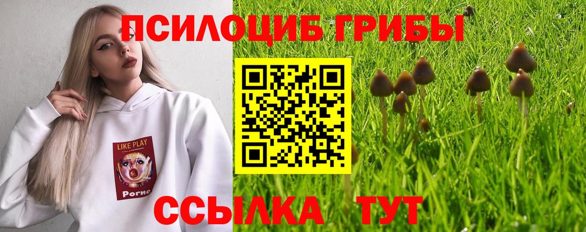 Псилоцибиновые грибы Cubensis  Вход с VPN  где купить наркоту  Пенза  Псилоцибиновые грибы Cubensis 