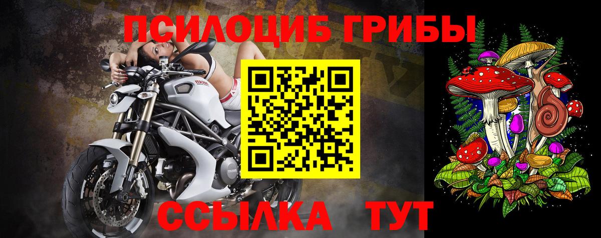 Галлюциногенные грибы GOLDEN TEACHER Пенза